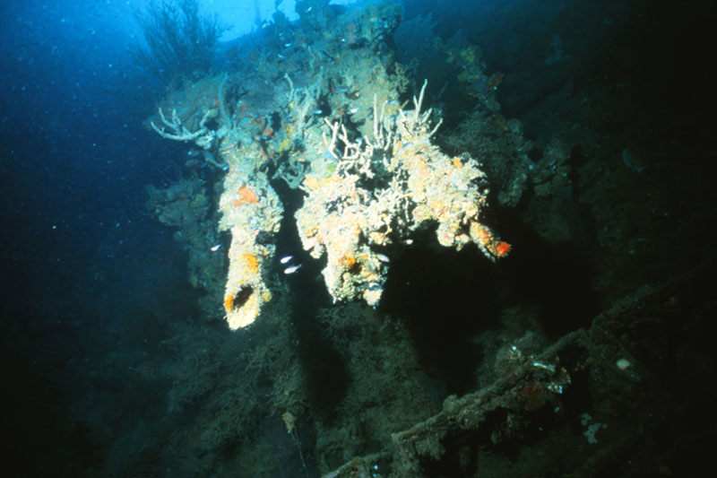 柳幸典 パシフィック・プロジェクト｜アートベース百島｜ART BASE MOMOSHIMA