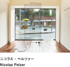 Nicolas Pelzer